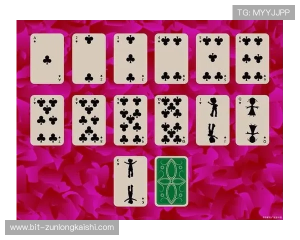 探秘kb88凯时平台官网的游戏种类与玩法解析